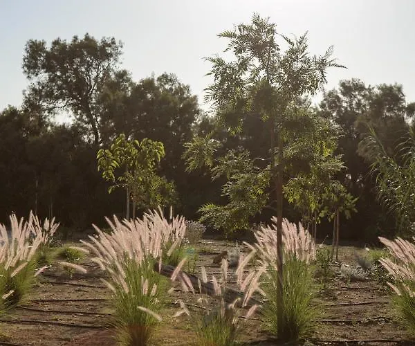 Villa Stone Naxos Naxos City