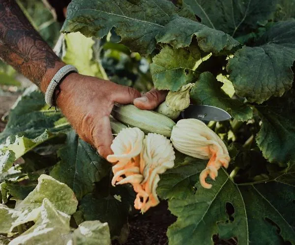 Villa Stone Naxos Naxos City