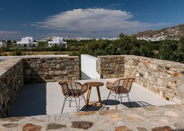 Villa Stone Naxos Naxos City